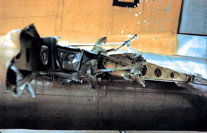 ゴアグラ Die Pigeon Die、Destructive Explosi… s-l1200.jpg